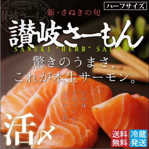【送料無料】活け〆讃岐さーもんハーフ(半身)下処理済(お届け:冷蔵)話題のさぬきさーもんを活け締めして直送!