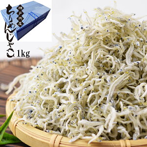 ߂񂶂Ⴑ 1kg  ㊣ V { ˓ ㊣߂1kg Y Y JVE  Mtg Ca VR Tv y Ɩp Y 炷 Mtg  j ߂ ώ 