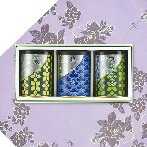 @v Ԃ TԂ u R{R CہEl MtgZbgiÊEtje{ l\  O ~ 25-0452-040YNT|303