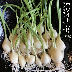 XvEgjjN Y zCg6 170g×4Zbg Ղ炤  ɂɂ K[bN SHׂ LcȂ