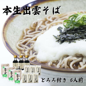 出雲そば 生そば・とろろセット 6人前 詰合せギフト そばギフト 蕎麦 お取り寄せ グルメ