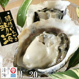 隠岐の島 ブランド 岩牡蠣 いわがき 「清海」 せいかい 生食用 殻付き Mサイズ 250～300g 20個セット 隠岐より直送 （専用ナイフ、軍手、レシピ付き）