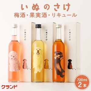 yzNh ʂ̂ 3{Zbg ʎ ~ L[ Mtg ݔ lߍ킹 500ml 3{    񂿂  蕨 v[g lߍ킹 a j 