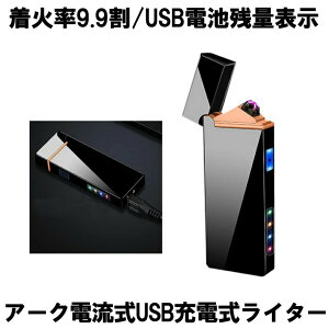 【USB充電式で手軽に使える】 電子ライター USBライター プラズマライター アークライター 無煙ライター ライター USB充電式ライター Wアーク 電流 電子 小型 軽量 タバコ シガー 軽量 携帯 LED