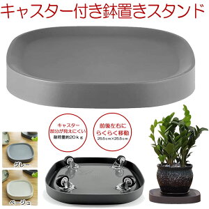y LX^[ɂ z Aؔ Aؔ X^h t[  u LX^[ v^[pM LX^[t v[g a25.5cm  ϗtA t[bN v