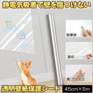 yǎz ǎ V[ NX  ǎیV[g   ͂ q n  gC hA q  ی V[g ÓdC  NA  EH[ Xeb