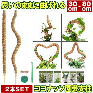 【 6サイズ展開 】 曲げられる ココスティック モンステラ支柱 2本 入り 観葉植物 モンステラ 支柱 園芸…