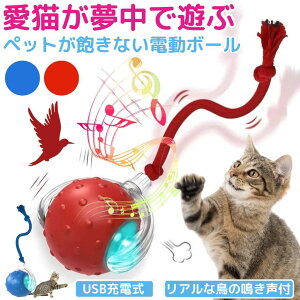 yœz lR L  d   {[  lV  t   USB[d ybg _CGbg ^s  LEDCgt Kt  Ђ Type-