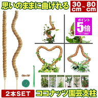 【期間限定値下げ 8/11 10：00まで】【 6サイズ展開 】 モンステラ 支柱 曲げられる ココスティック 2本 …