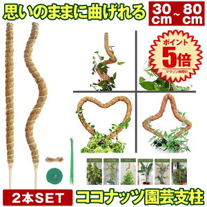 y 6TCYWJ z Ȃ RRXeBbN Xex 2{  ϗtA Xe x |x A K[fjOp Ԃ RRibcx AT|[g 30cm 40cm 50cm 60cm 70cm 80