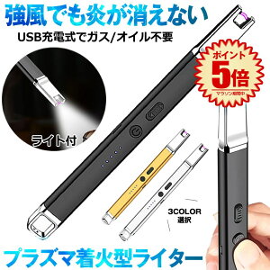 【LEDライト付き】 ライター 電子ライター プラズマライター 火起こし 火おこし USB充電式 TYPE-C ガス オイル 不要 点火用ライター チャッカマン プラズマ 電気 防風 おしゃれ 軽量 アウトドア