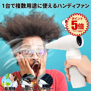 yق6WAYz GA_X^[ uA[ nfBt@ @ dGA_X^[ hC[ GA[_X^[  [d Type-C [d GA[ GAXv[ pc | t S~ ΂ ^