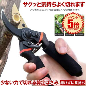 y y͂ŃXpbƐ؂ z ΂ nT~ }؂oT~ ͂ Kтɂ tbfR[eBO ₷ oT~  Ă΂ }΂ ؂̙   