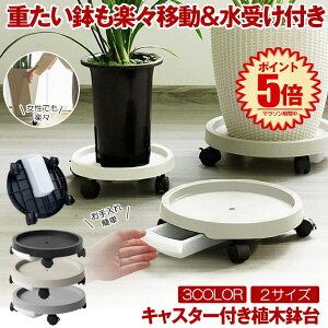 y z̔u z t[X^h u u rgC Aؔ LX^[ ϗtA u ړ Aؔ 󂯎M  ԑ v^[X^h  A LX^[t