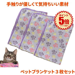 y3Zbgz ybguPbg ybg ѕz 60x40cm L  Lybgp }bg ^I \tg t[X p[v xbh~ _炩 t[Xf RR Q xbh 킢 傫