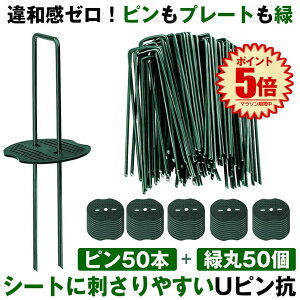 ysLbv΁z hV[g s UsY Ίەt Us Œs  V[g 15cm 50{ h[ hV[g h[ Œp Œ lH s s 100{ 200