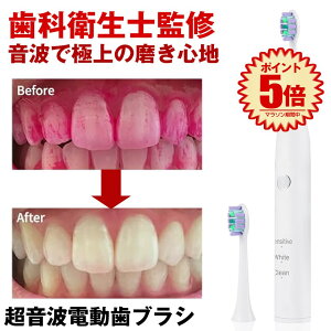 【替えブラシ2本付】 電動歯ブラシ 歯ブラシ 音波歯ブラシ 電動 替えブラシ 歯 音波 本体 電動ブラシ 音波振動歯ブラシ ソニックウォッシュ マイコンフォート 歯垢除去 歯周病 対策 虫歯 予