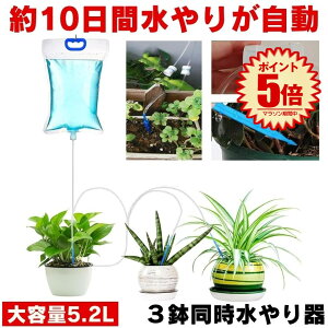 y3䓯z   A @ 蓖    U@ ϗtA 琅 s o   A 1T  v