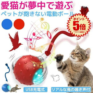 yœz lR L  d   {[  lV  t   USB[d ybg _CGbg ^s  LEDCgt Kt  Ђ Type-