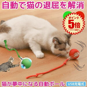 yœz lR L  {[ d   lV   USB[d ybg _CGbg ^s  LEDCgt Kt  Ђ Type-C XgX