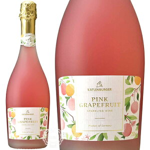 yZ[Ԍ3OFFN[|!2020`27159z JguK[ hN^[ fB[X sNO[vt[c Xp[NOC 750ml r ycpz