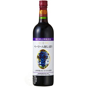 y2024Nre[Wz  V x[[A ڂ 2024 _h~ܖY  720ml r yzycpz y ԃC h {C z