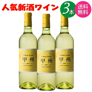 y2025NV 11/3 \tz y ꕔnz CZbg 2025N V  VgXZgbB  720ml r × 3{