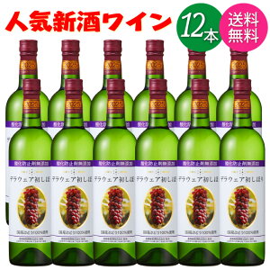 y2025NVz y ꕔnz CZbg 2025N V  イ fEFA ڂ   720ml r × 12{