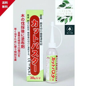 y11/1`11/3o׋x~zyňl풆zJbgpX^[y[Xg30g ؂芔 ؂芔   ؂芔   ~͒ؐ،핢hz