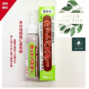 y11/1`11/3o׋x~zyňl풆zJbgpX^[ y[Xg 90g ؂芔 ؂芔   ؂芔   ~͒ؐ،핢hz