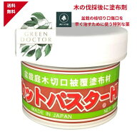 【最安値挑戦中】ハナゲン カットパスターHi 雑木用 190g 切り株除去剤 切り株 除去 剤 切り株 処理 剤 …