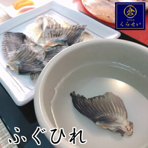 ӂЂ10g Ƃӂ Ђp  Y ۑY  RY { M tOq ӂq tOЂ q  񂹃O Mtg p av[g v`Mtg 