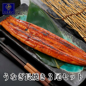 1`4cƓȓɔ ȂĂ3Zbg Ε Ε j Ԃ j Mtg j oYj av[g  ȂĂ EiM V Y   