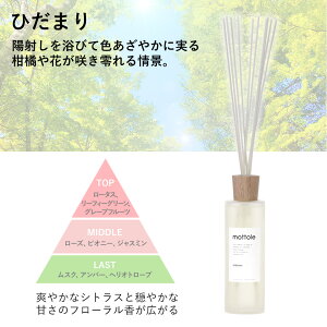 [hfBt[U[ e e 430ml XeBbN KX{g tOX A}fBt[U[ fBt[U[ [tOX A}IC F    [h 