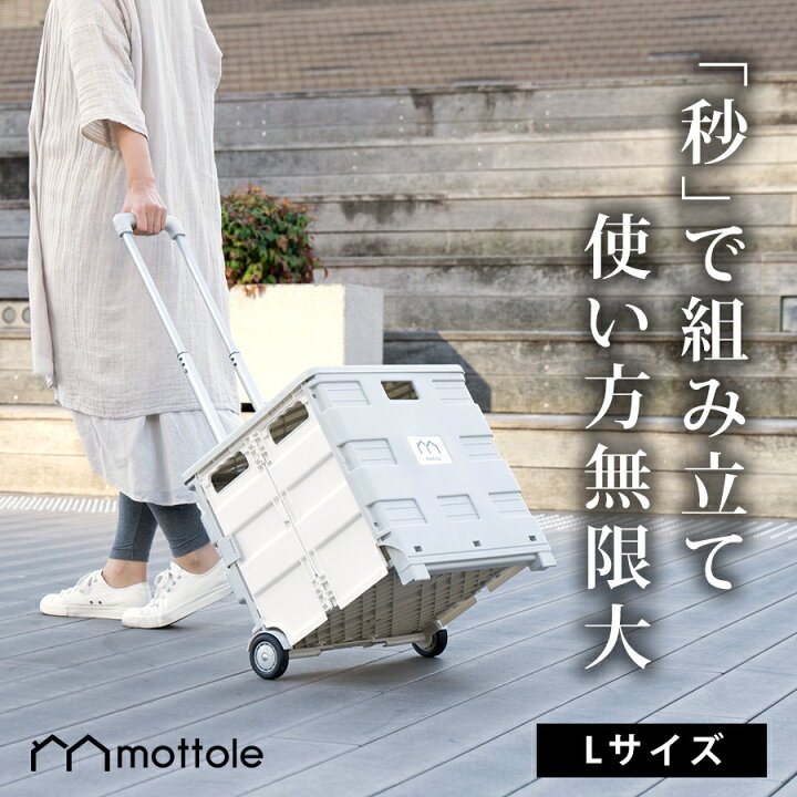 楽天市場】折りたたみ キャリーカート Lサイズ 軽量 買い物 