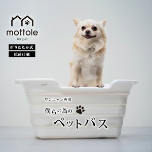 yyV1ʁIzybgoX ybĝC ybgpoX^u oX^u ybgoX^u xr[oX rt  C ܂肽 􂢉 L̂C g}[ \tgoX^u ЊQ΍ A