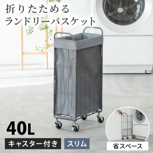 �����h���[�o�X�P�b�g �܂肽���� �L���X�^�[�t�� �X���� 19cm 20cm 40L ��e�� ���� �����h���[���S�� �����h���[�{�b�N�X ���󂩂� ����J�S �����h���[���[ ������� �ȃX�y�[�X �z�J�o�[ ��