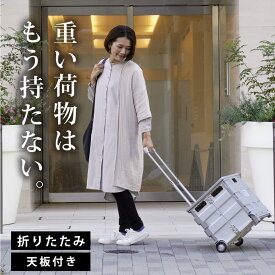 折りたたみ キャリーカート Lサイズ 軽量 買い物 ショッピング カート アウトドアワゴン キャンプワゴン キャリー キャリーワゴン 天板付き フタ付 キャスター付 折りたたみキャリーカート コンテナキャリー キャリーボックス おしゃれ MTL-Z012