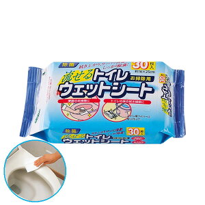 SQ058 gCpEFbgV[g30P V[g gC|mAY}HƁny|Cg10{zye炵Rz