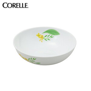 y܂tz R[ m[uCG[ ~[{E J4446-NBY 21.5cm 21.5Z` M ϔMKX M ې[M ێM {[ p[ I[uΉ dqWΉ H@Ή CP-9491ye