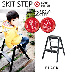y|Cg20{zXLbgXebv 2i SKIT STEP SK2.0-06  r mJHƁnyzye炵Rz