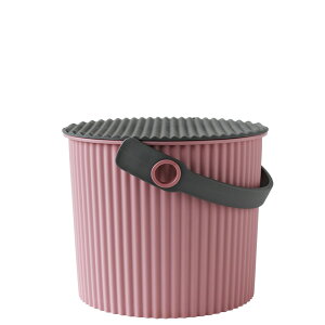 IjEbeB miniTCY 4bg WtoPc XJWirA Ic oPc r Xc[ ݑ ~j 4bg  { [ AEghA   ǂ RpN