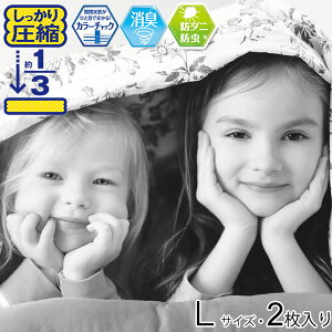 LEh_jʂ̂鈳kL 2 [{NebN] y|Cg2{zye炵Rz[PNG10]