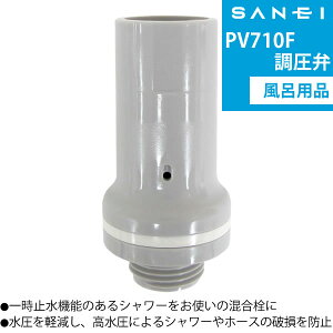 yV[z[X̔jh~  PV710F [SANEI] Cpiye炵Rzy|Cg2{z