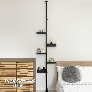 ς莮[[ς莮XbN TSR-L]˂ [  9cm̂Ԃ𗘗p  rO Lb` ʏ gC ubN zCg ϐ[ZLXC]ye炵Rzy|C