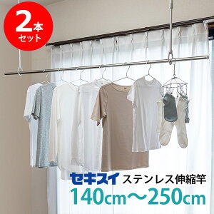 y|Cg20{zXeX 2{Zbg [XeXLk DS-25] Lk  140`250cm Lk I[XeX Kтɂ   x_  O rO 
