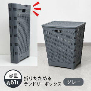 ܂ h[{bNX ^ 61L e [܂肽߂郉h[{bNX] t^t  ʋC悢 Gɋ ȒP RpNg 120848 120849 zCg O[ m