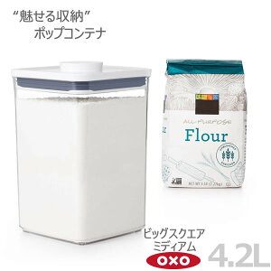 OXO IN\[ |bvRei rbOXNGA ~fBA 4.2L 00012204mYYn [ lC {^ŊJ ۑe y|Cg2{zye炵Rz