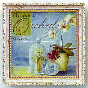 uvAWF X^[OyʐM̔z(ԁEAWF X^[O@~jQ@A[g|X^[mGʔ́njyǊ|tbNtzyĜ炵z