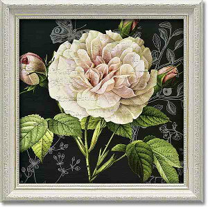 uXg[V[Y1vf{Xi EiA[g|X^[jmGʔ́nyǊ|tbNtzyĜ炵z